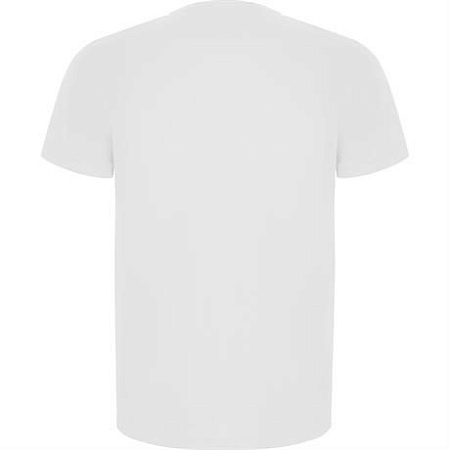 Спортивная футболка IMOLA мужская, белый